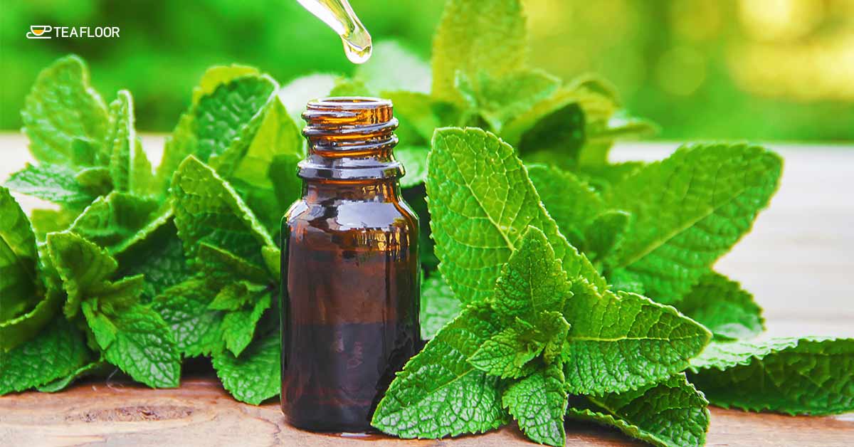 Peppermint for menstrual cramps