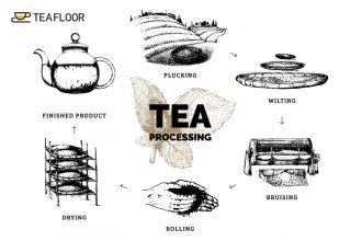 Tea Processing Techniques and Classification of Tea