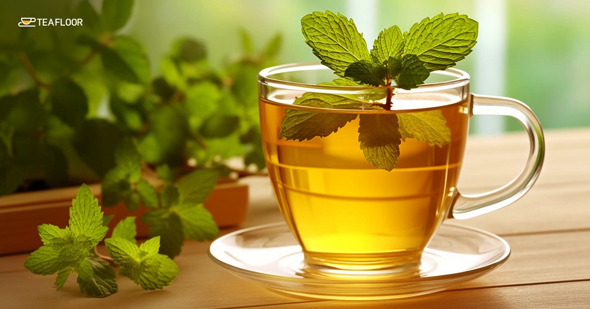 Green Tea Supports Fat Oxidation