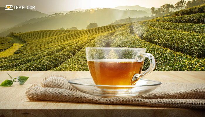 Darjeeling Tea Benefits