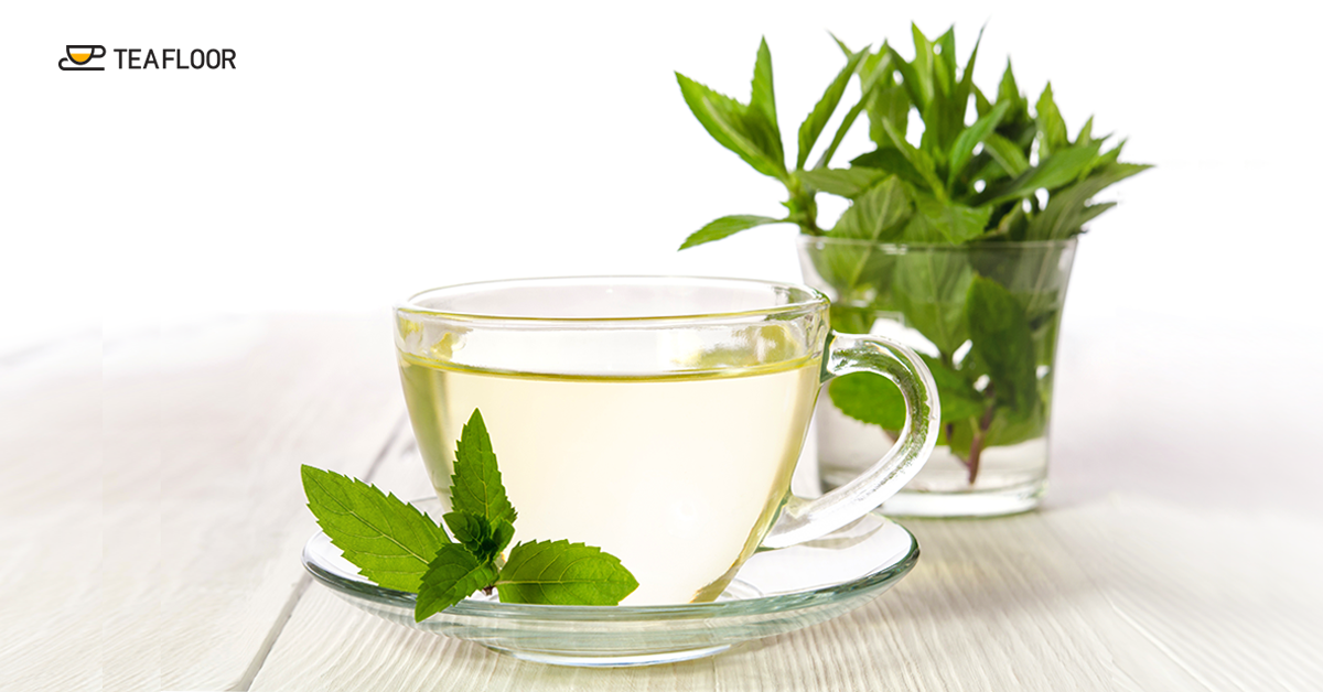 How to Drink White Tea