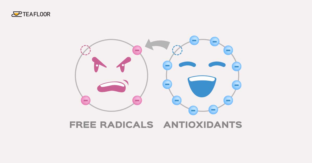 teafloor -Antioxidants in Teas
