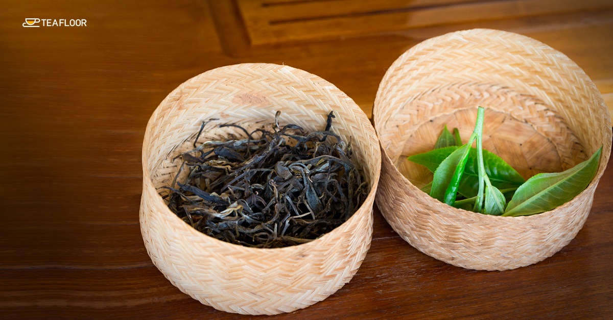 Assam Tea