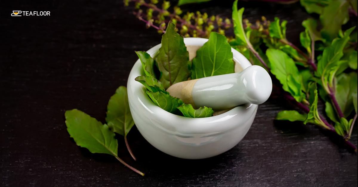 Tulsi (Holy Basil) Tulsi (Holy Basil)