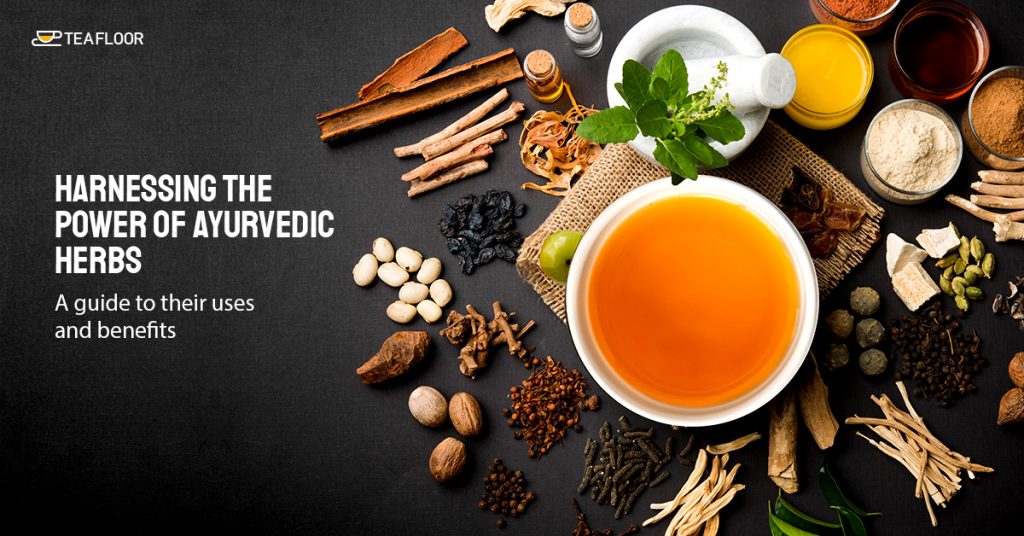 Top Ayurvedic Herbs
