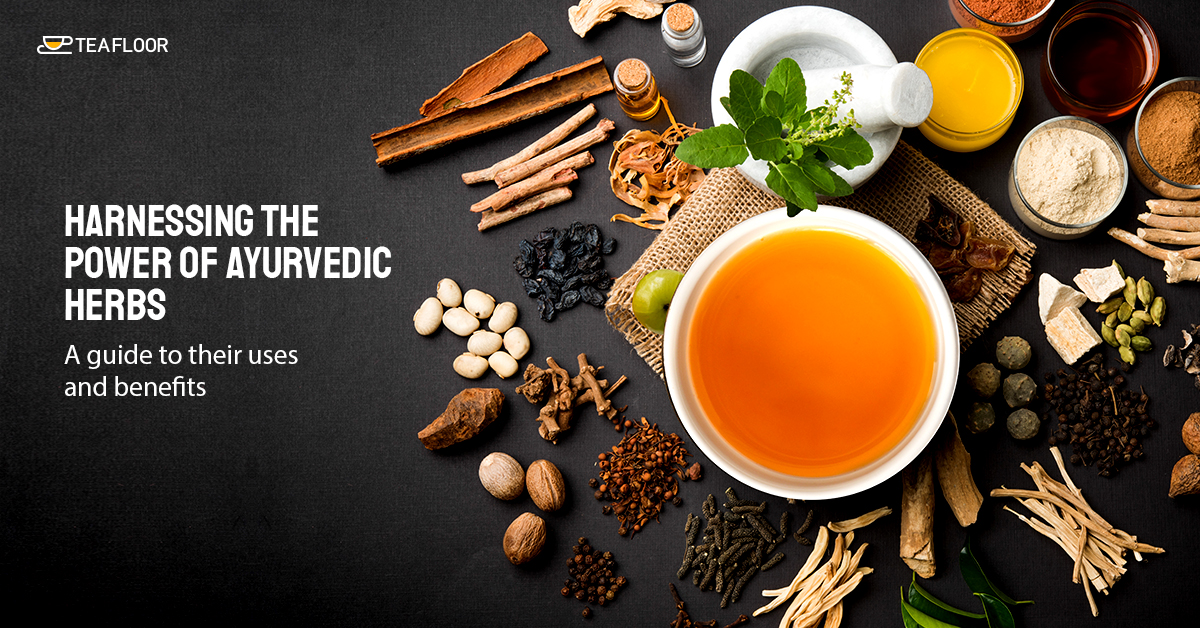 Top Ayurvedic Herbs