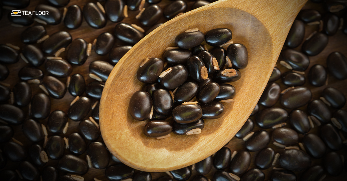 Mucuna Pruriens Mucuna Pruriens