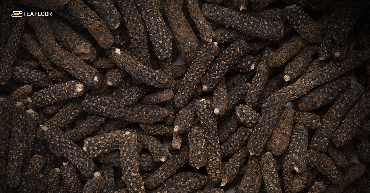 Pippali (Long Pepper) Pippali (Long Pepper)