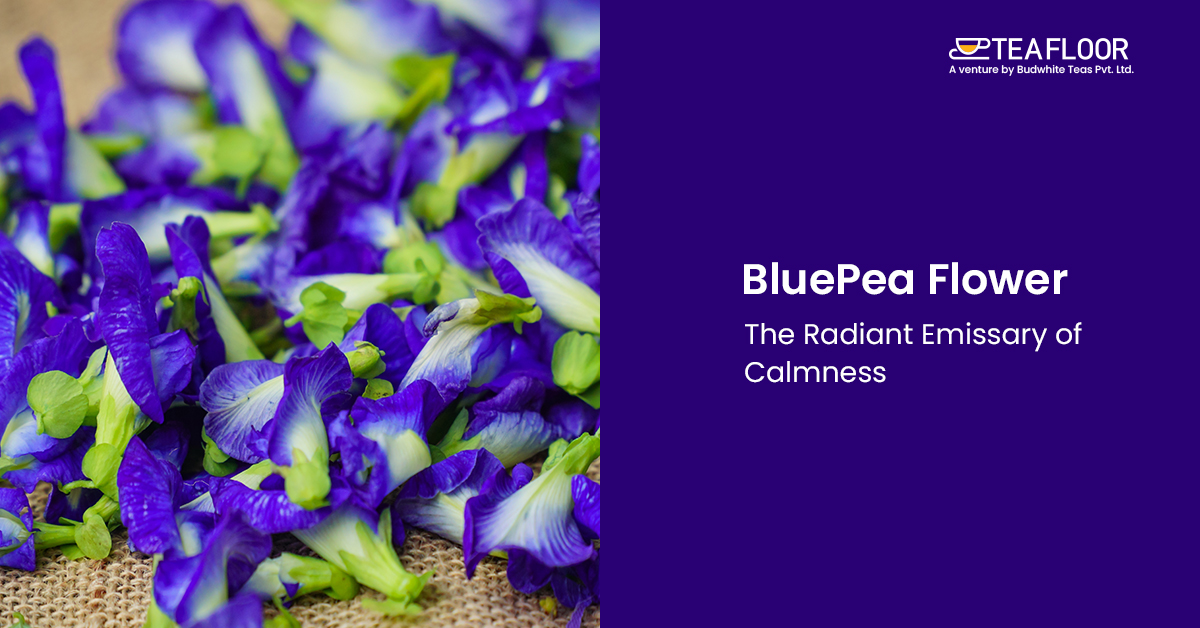 BluePea Flowers