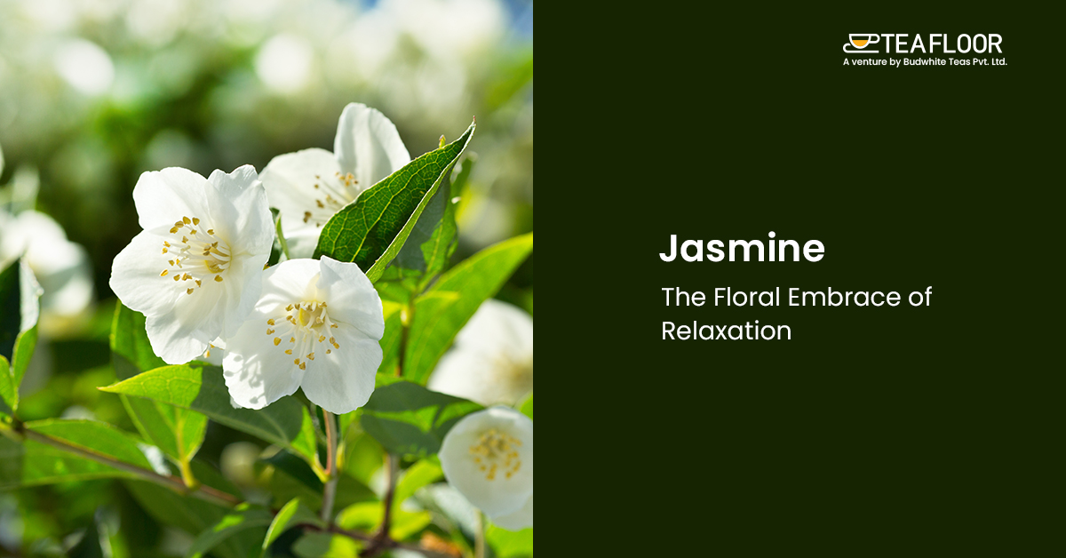 Jasmine Jasmine