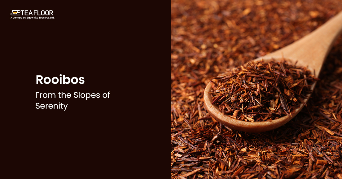 Rooibos Rooibos