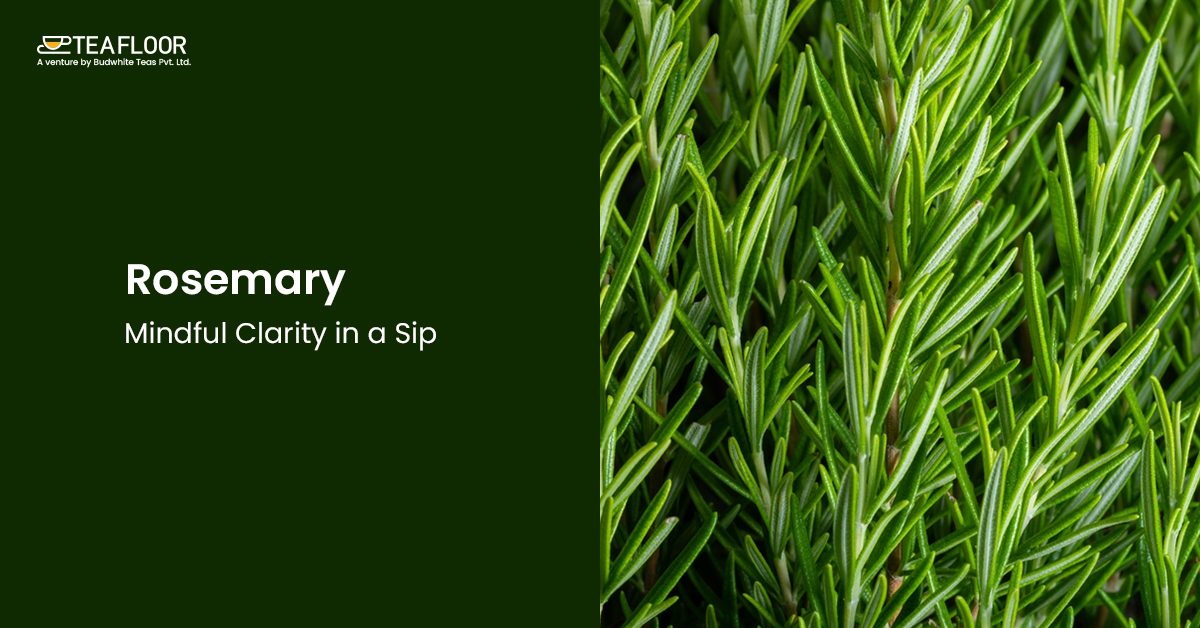 Rosemary