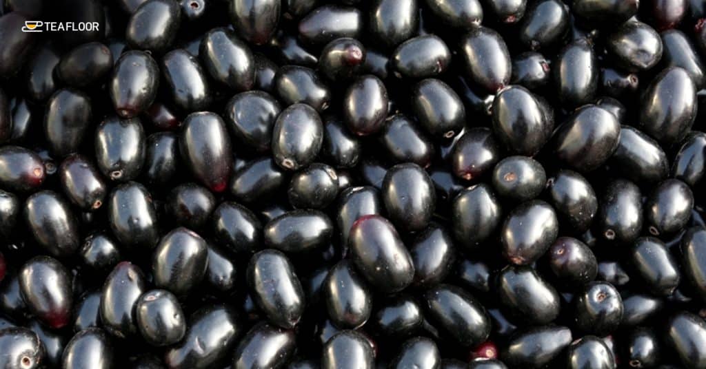 Dried jamun seeds used in herbal remedies