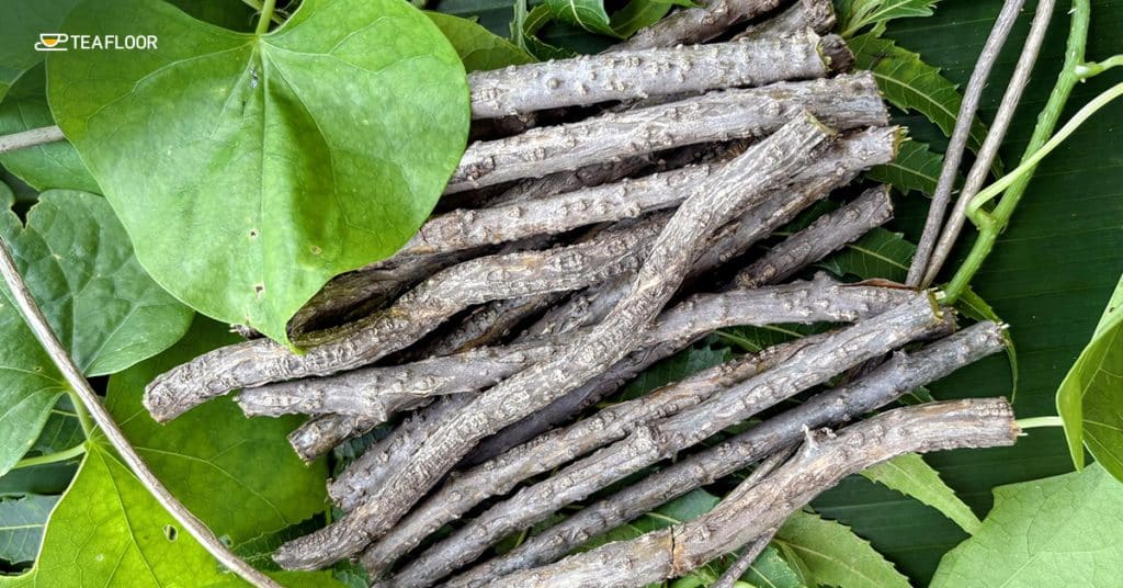 Natural Giloy Tea for Diabetes Support