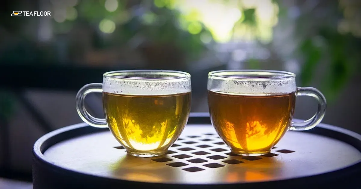 Two glass cups showing the color difference in First Flush vs Second Flush Darjeeling Tea.